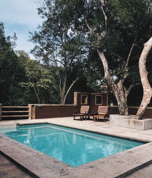 piscine extérieur avec terrasse en béton et transats en bois sous des arbres